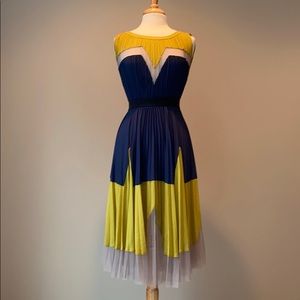 BCBG Lucea Colorblock Pleated Dress